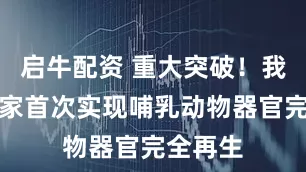 启牛配资 重大突破！我国科学家首次实现哺乳动物器官完全再生