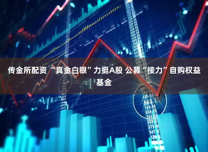 传金所配资 “真金白银”力挺A股 公募“接力”自购权益基金