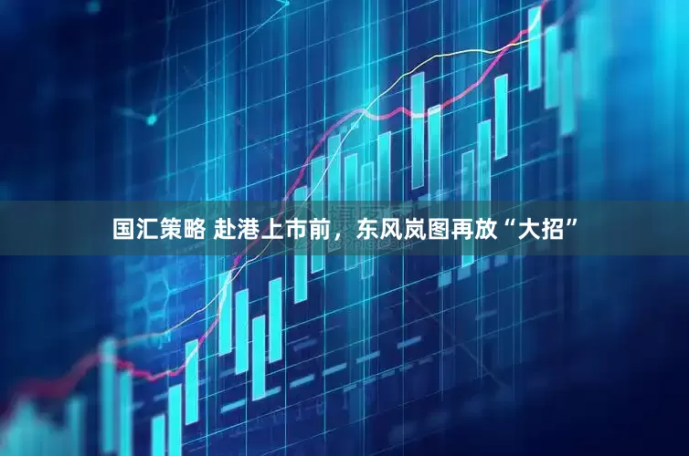 国汇策略 赴港上市前，东风岚图再放“大招”
